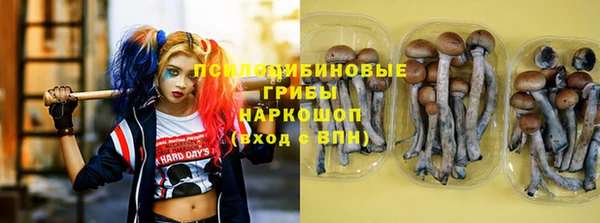 Альфа ПВП Алексеевка