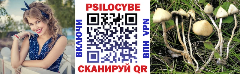 Галлюциногенные грибы Psilocybine cubensis купить закладку Шахунья